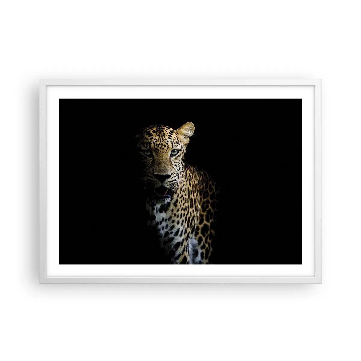 Affisch i vit ram - Mörk skönhet - 70x50 cm