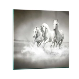 Glastavla - Bild på glas - Vit vildhet - 30x30 cm