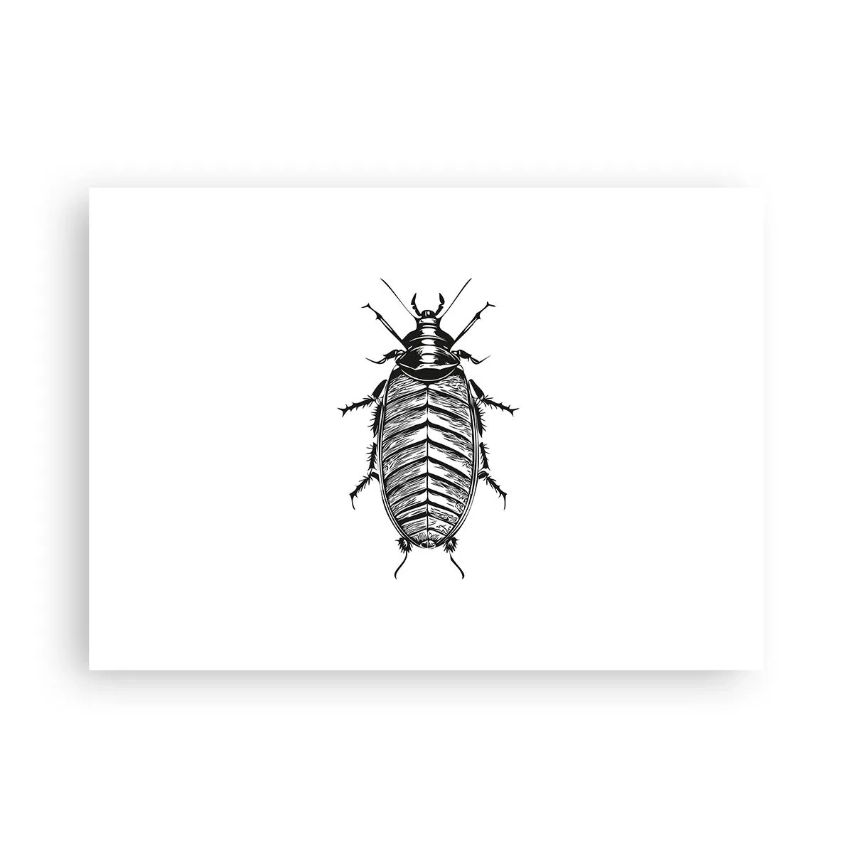 Affisch - Vilket exemplar! - 70x50 cm