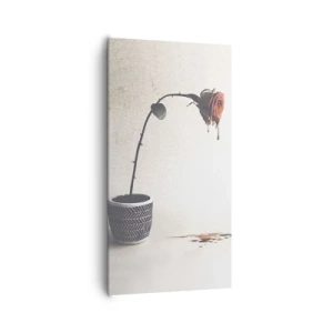 Canvastavla - Bild på duk - Rosa dolorosa - 65x120 cm
