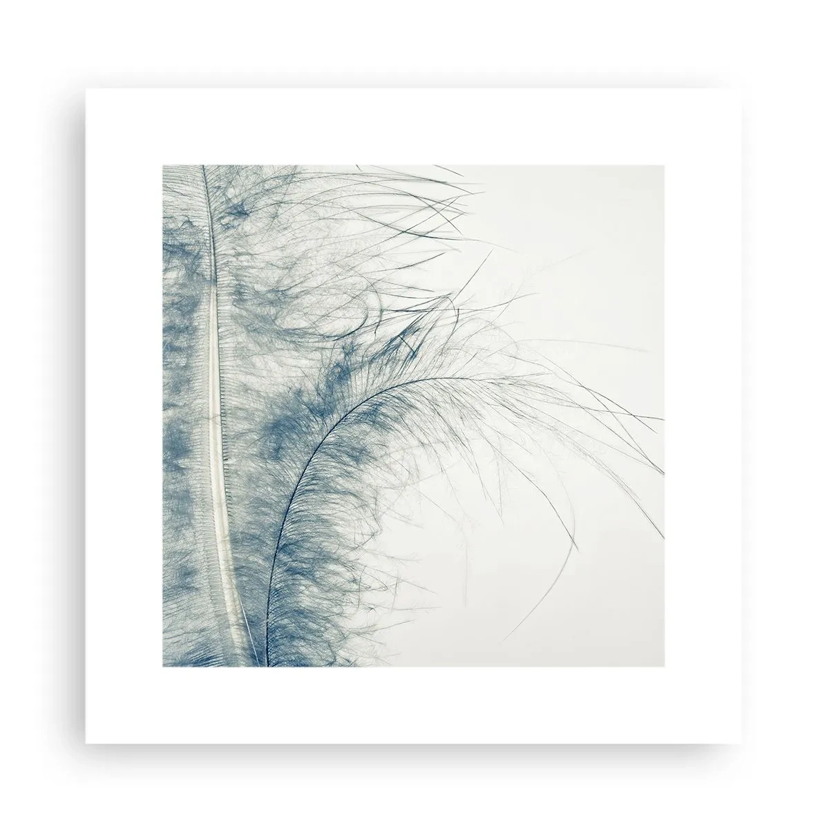 Affisch - Naturens viskningar - 30x30 cm