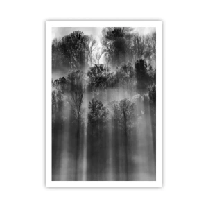 Affisch - I ljusstrålar - 70x100 cm