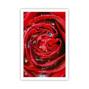 Affisch - Daggdroppar - 61x91 cm