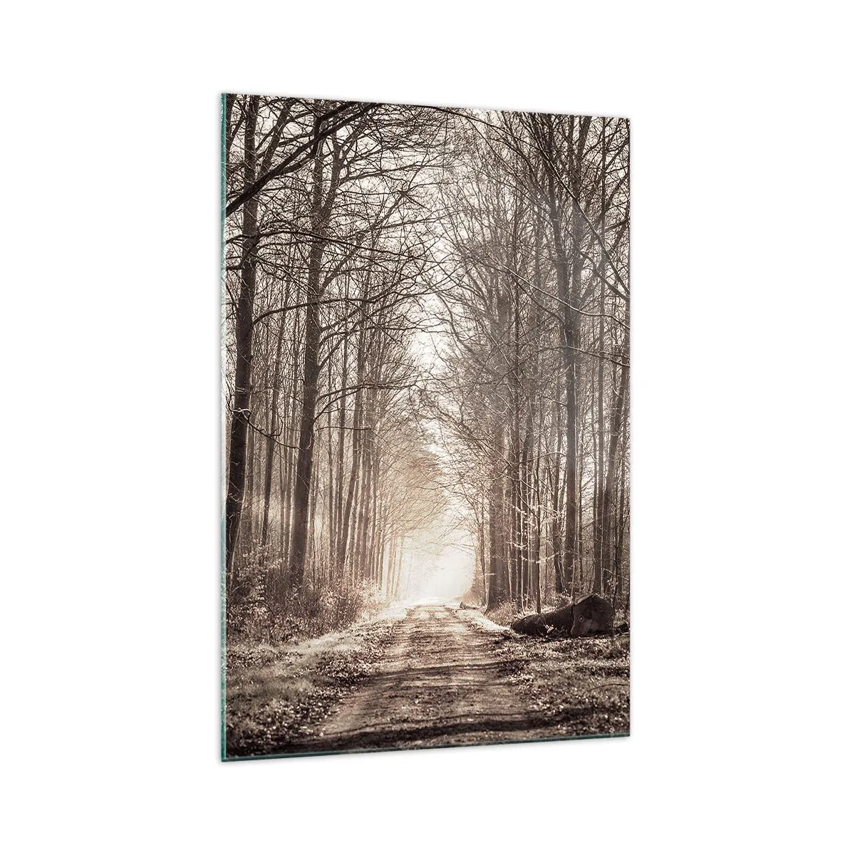 Glastavla - Bild på glas - Skogens domkyrka - 70x100 cm