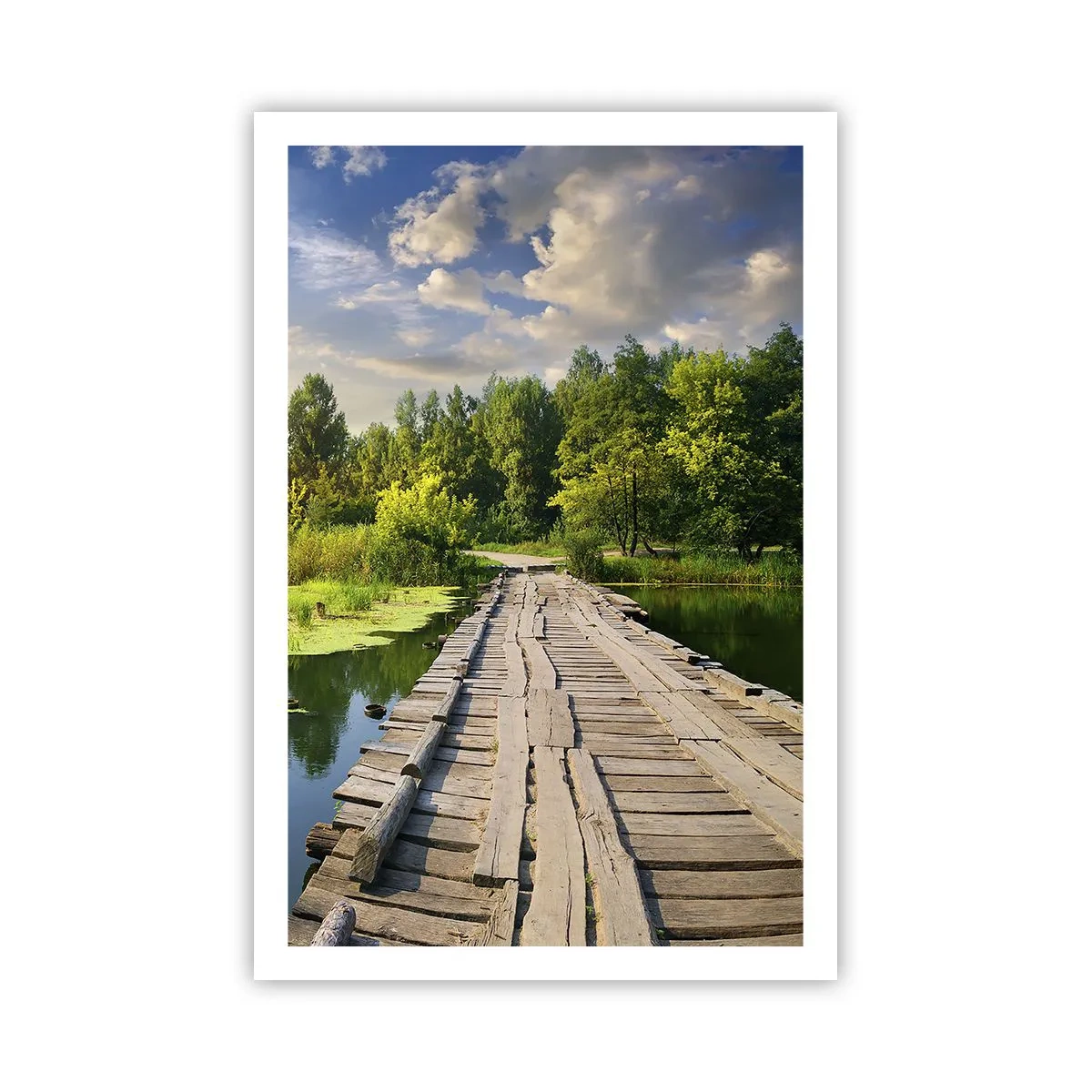 Affisch - Sommar, sommar överallt - 61x91 cm