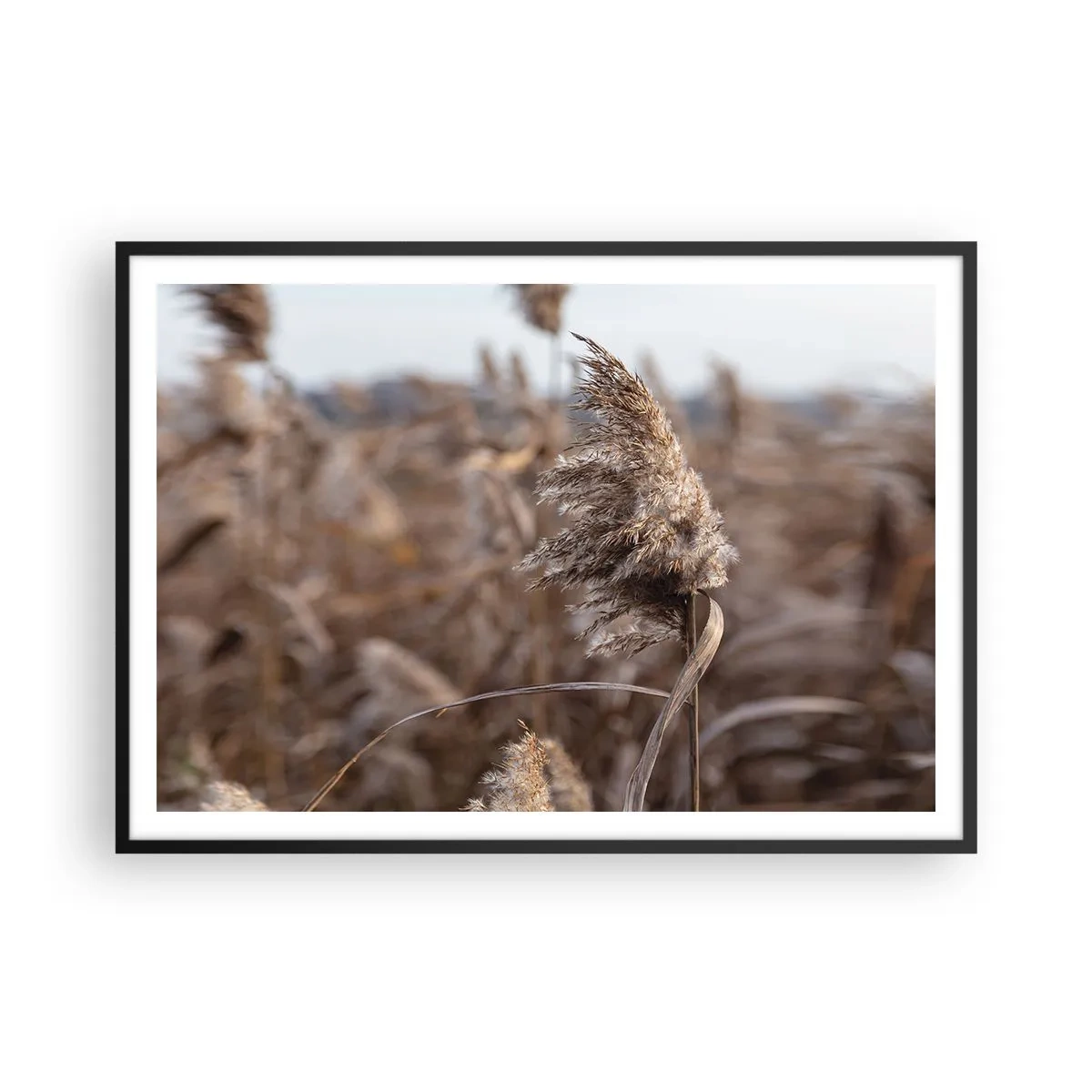 Affisch i svart ram - Dags att flyga bort med vinden - 100x70 cm