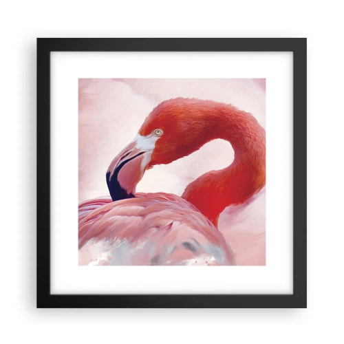 Affisch i svart ram - Fågelns skönhet - 30x30 cm