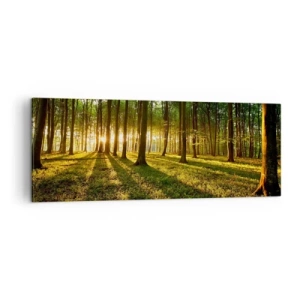 Canvastavla - Bild på duk - Fotografi av alla vårar - 140x50 cm