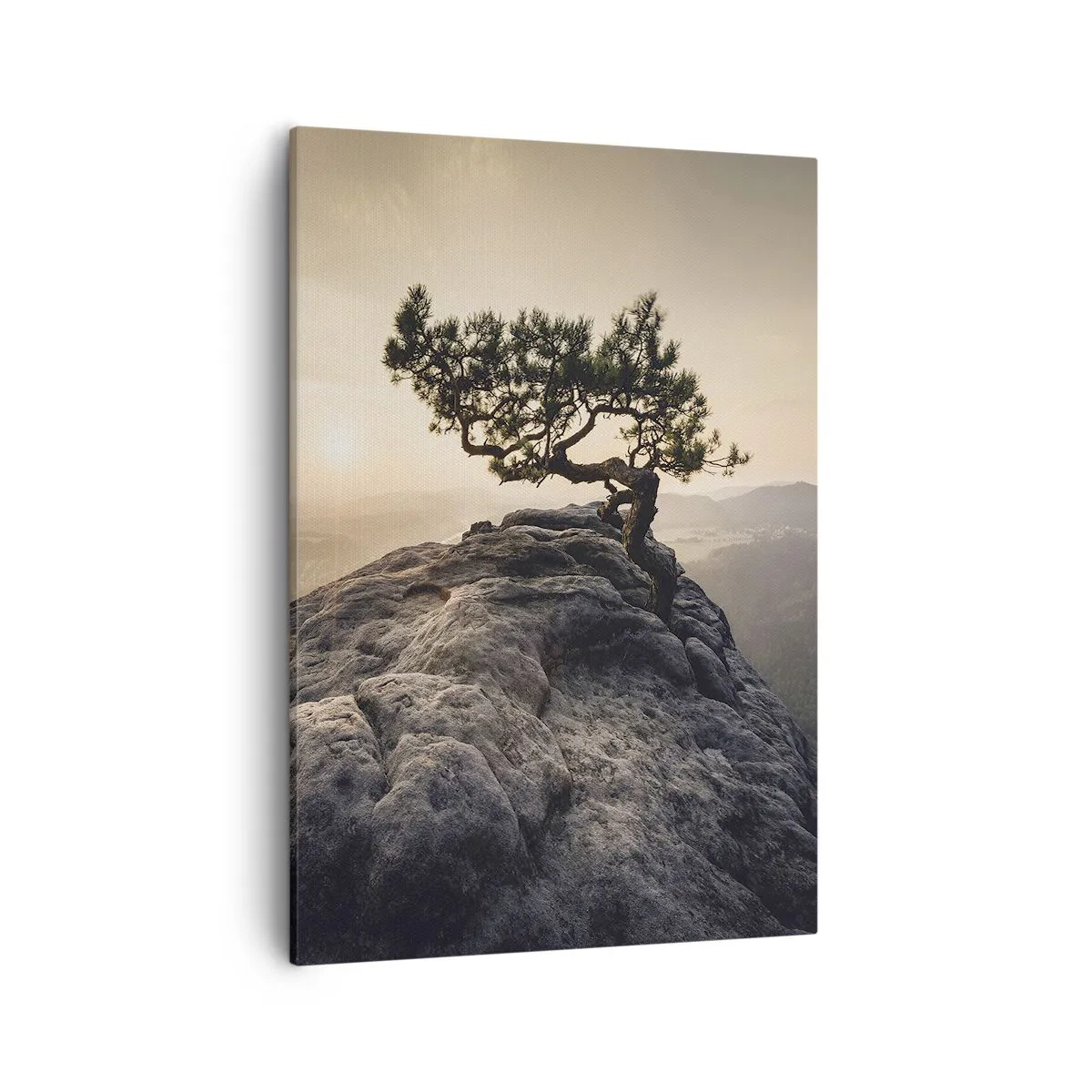 Canvastavla - Bild på duk - Livet vinner alltid - 50x70 cm