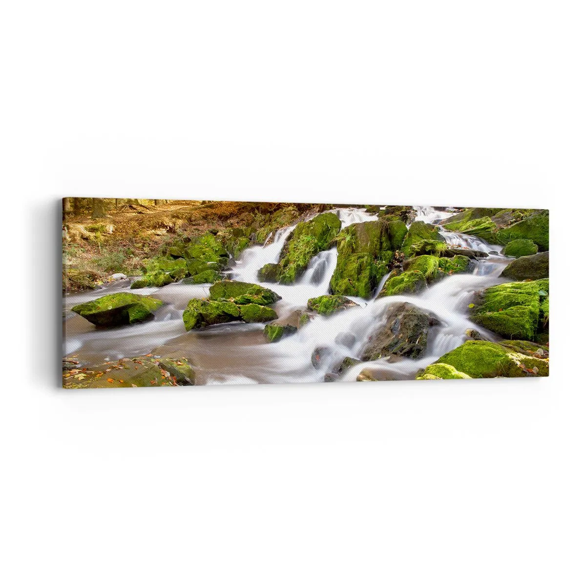 Canvastavla - Bild på duk - Kvickt genom höstskogen - 90x30 cm