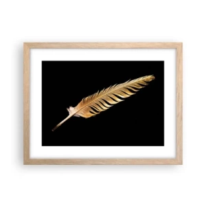 Affisch i ram av ljusek - Fjäder... - 40x30 cm