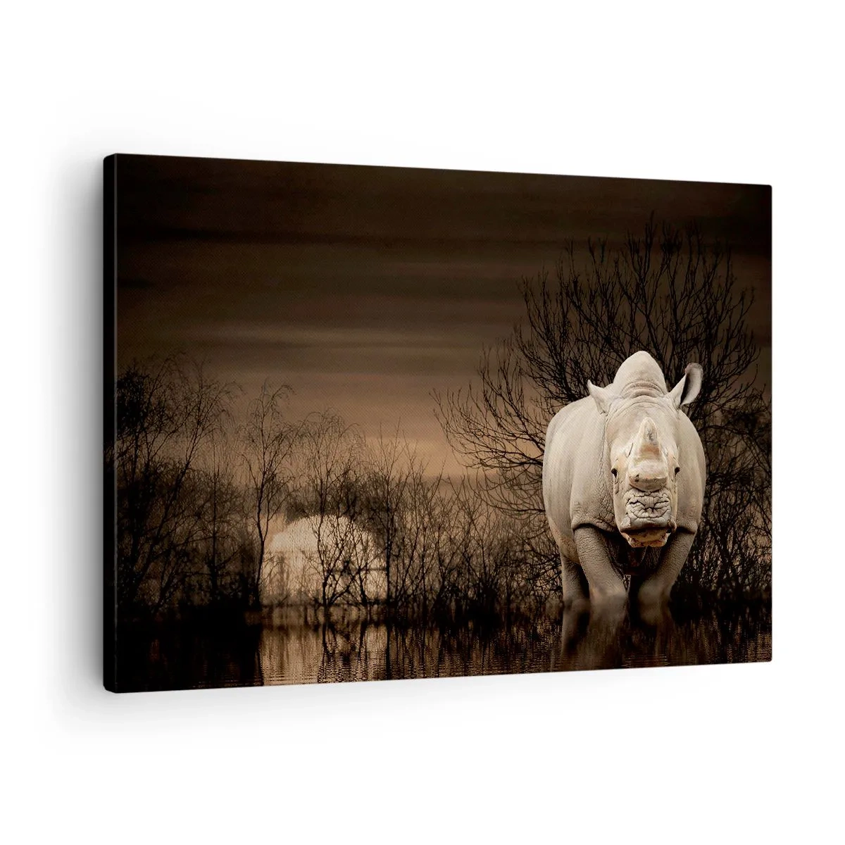 Canvastavla - Bild på duk - Noshörning bland träd vid solnedgången, vild natur. - 70x50cm - Vit mot naturen - Modern väggdekoration för vardagsrum och sovrum ARTTOR