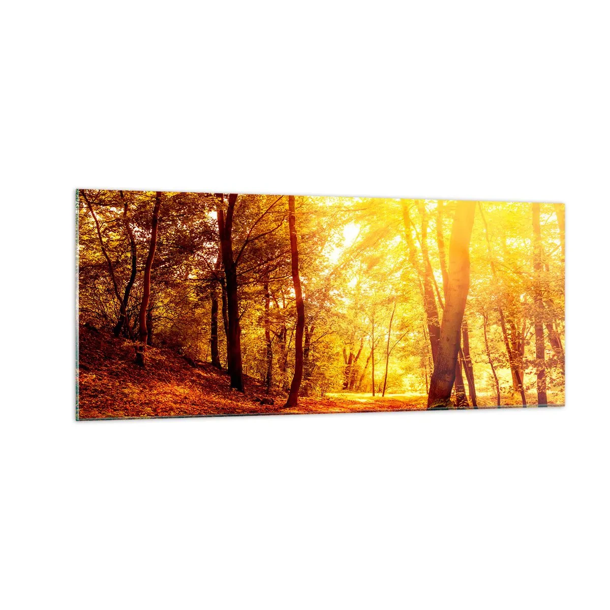 Glastavla - Bild på glas - Mot guldgläntan - 100x40 cm