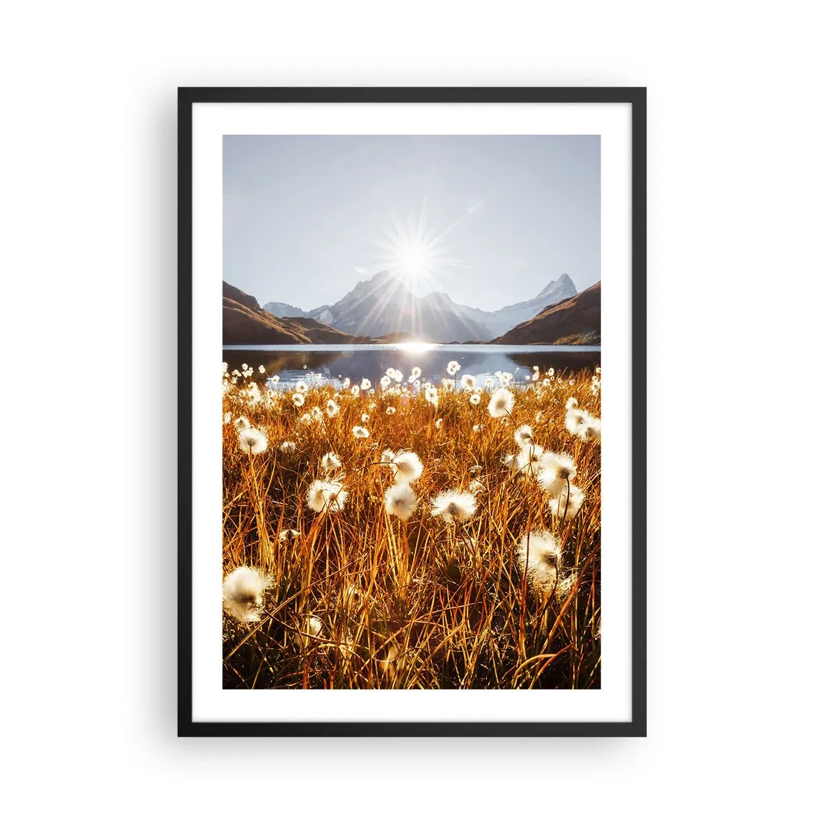 Affisch i svart ram - En äng med vita blommor mot en sjö och berg vid solnedgången - 50x70cm - Bergets hårdhet, gräsets mjukhet - Modern väggdekoration för vardagsrum och sovrum ARTTOR