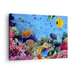 Canvastavla - Bild på duk - Korallrev med färgglada fiskar och en havssköldpadda - 70x50cm - Vad vet vi om livet... - Modern väggdekoration för vardagsrum och sovrum ARTTOR