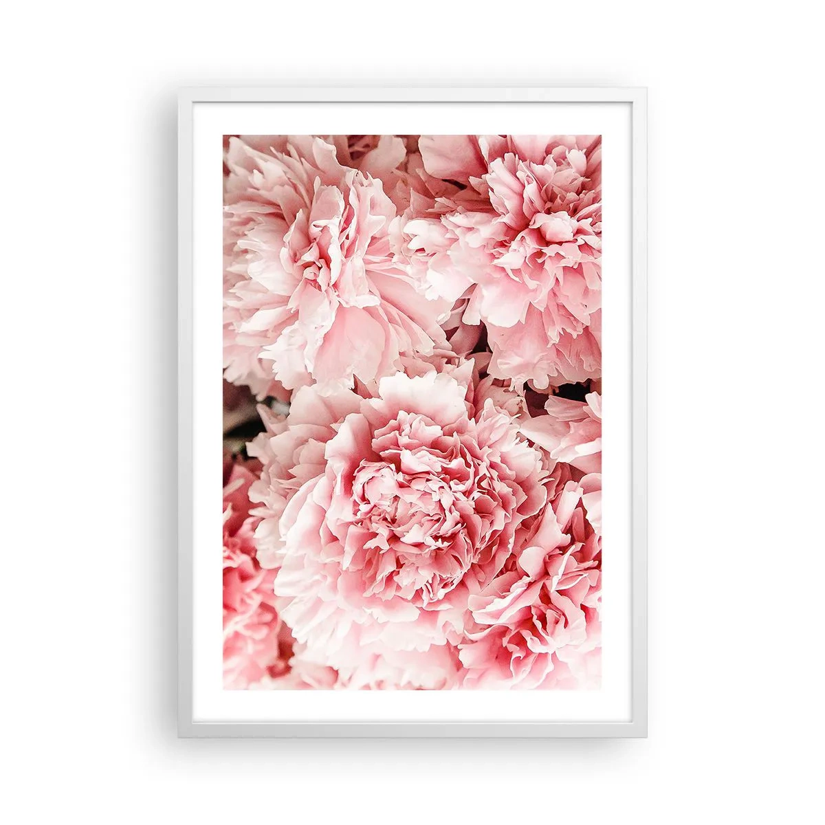 Affisch i vit ram - Rosa dröm - 50x70 cm