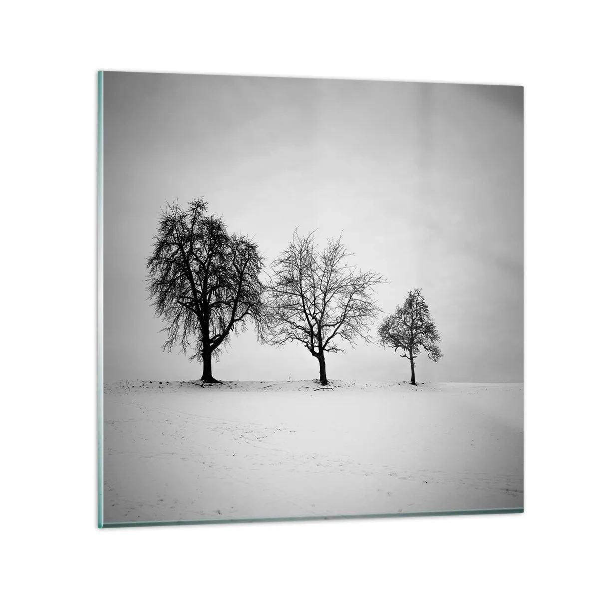 Glastavla - Bild på glas - Vad drömmer de om? - 40x40 cm