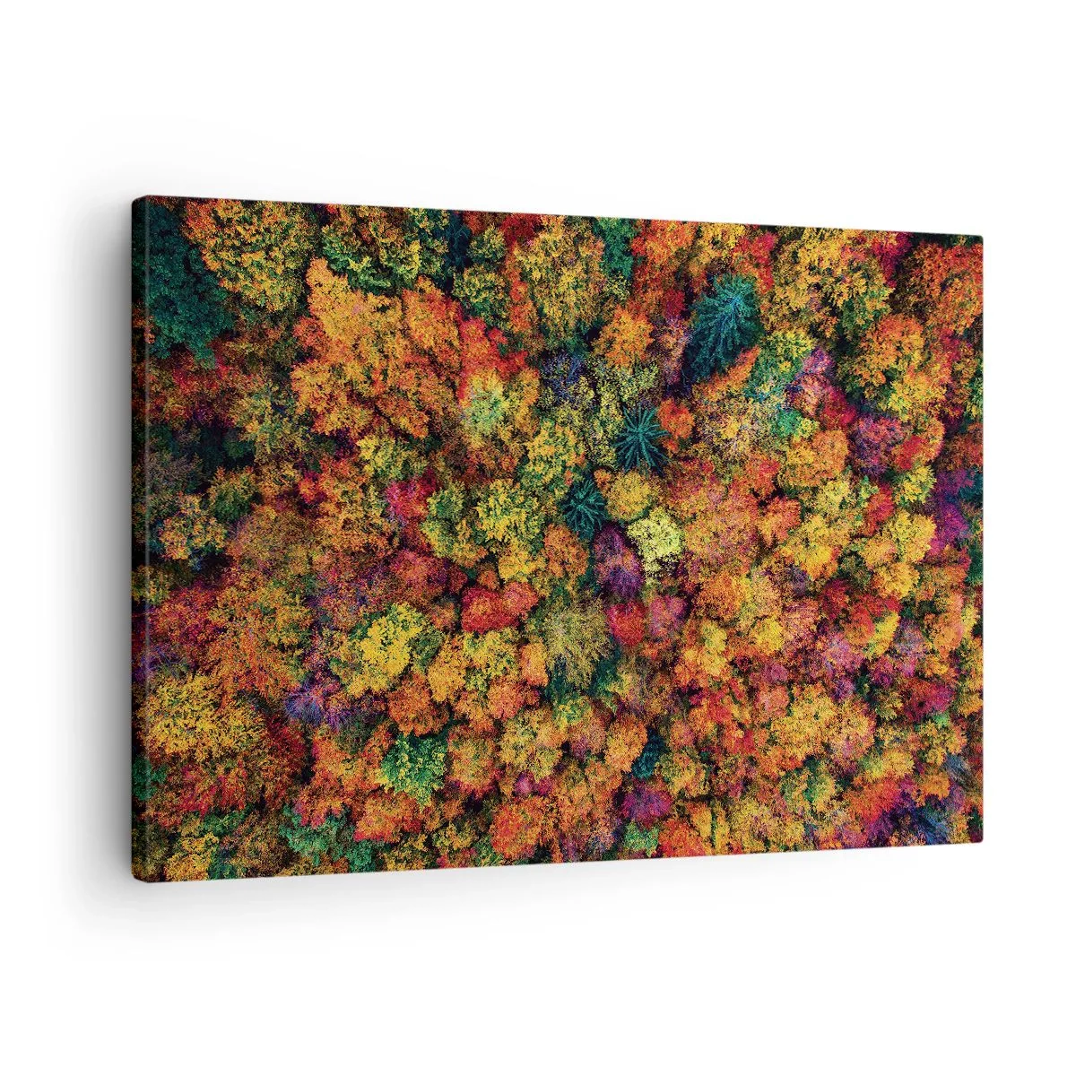 Canvastavla - Bild på duk - Färgglada trädkronor i höstpaletten - 70x50cm - Höstträdens bukett - Modern väggdekoration för vardagsrum och sovrum ARTTOR