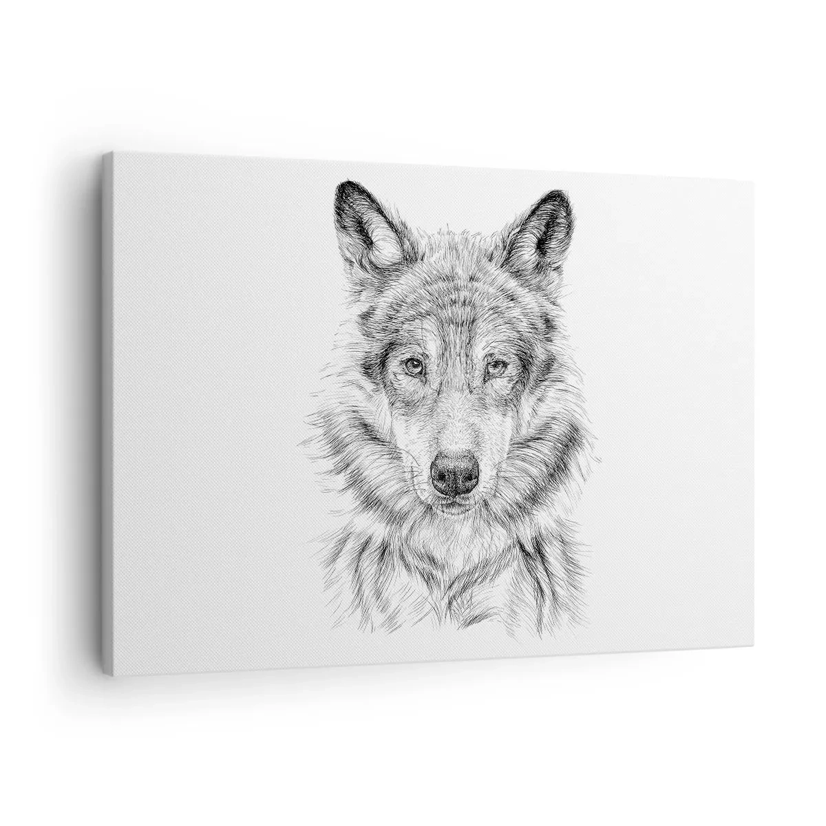 Canvastavla - Bild på duk - Skiss av ett varghuvud i monokrom stil på vit bakgrund - 70x50cm - En född ledare - Modern väggdekoration för vardagsrum och sovrum ARTTOR