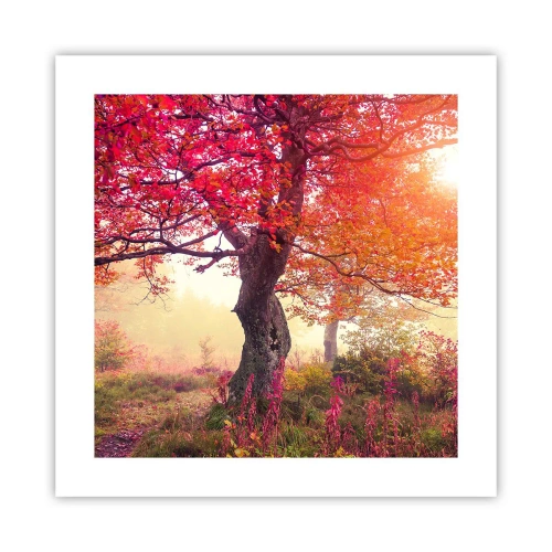 Affisch - Våldsam blommande - 40x40 cm