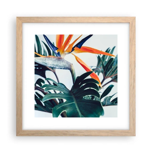 Affisch i ram av ljusek - Fågelbuske - 30x30 cm