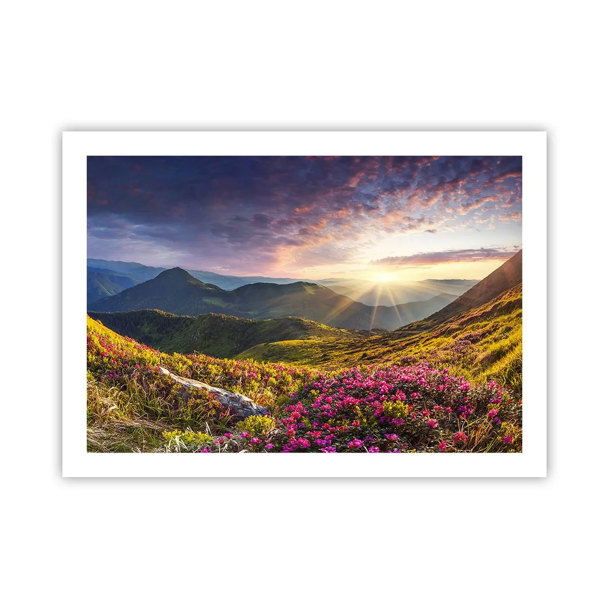 Affisch - Fjällmorgonens fräschhet - 70x50 cm