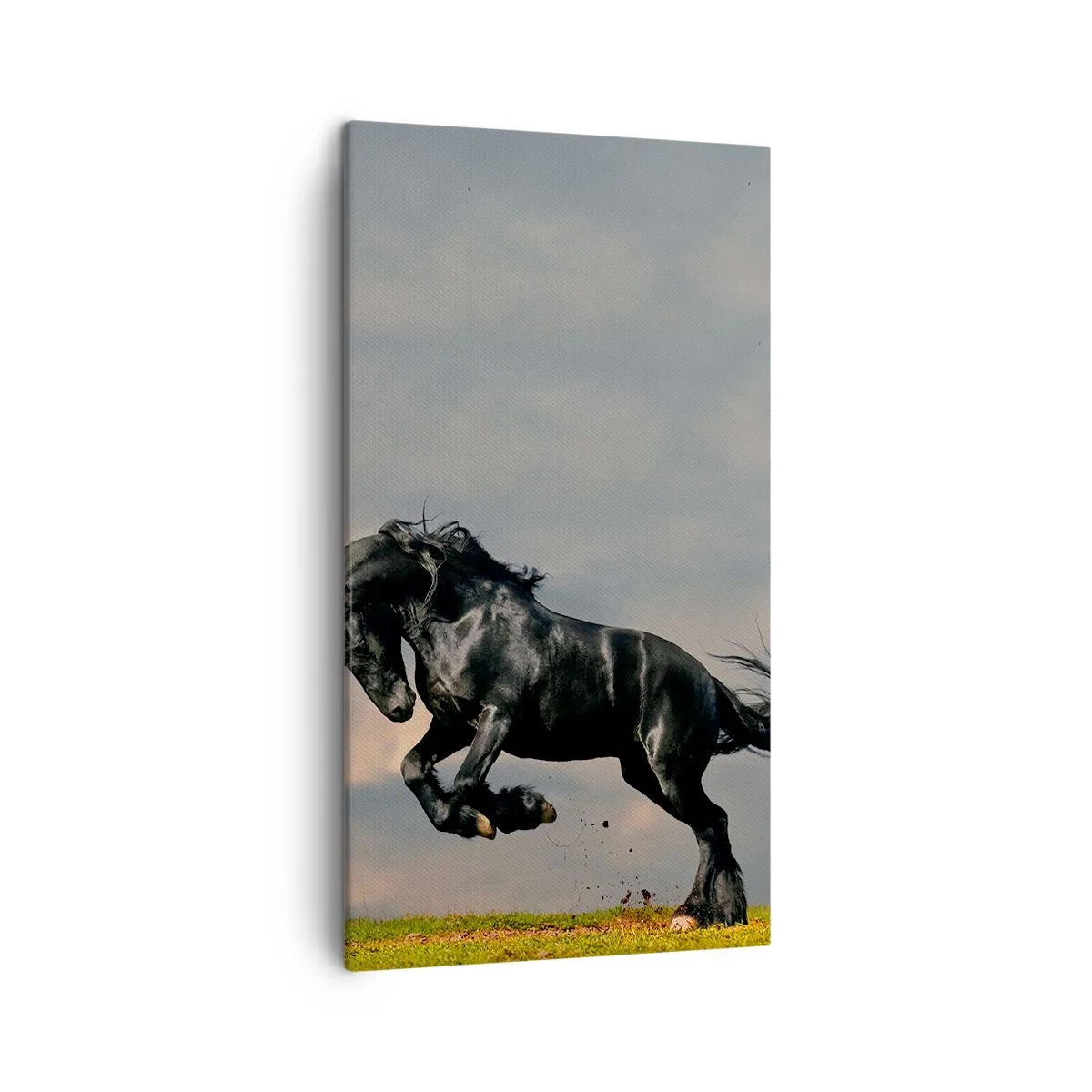 Canvastavla - Bild på duk - Vacker och fri - 45x80 cm