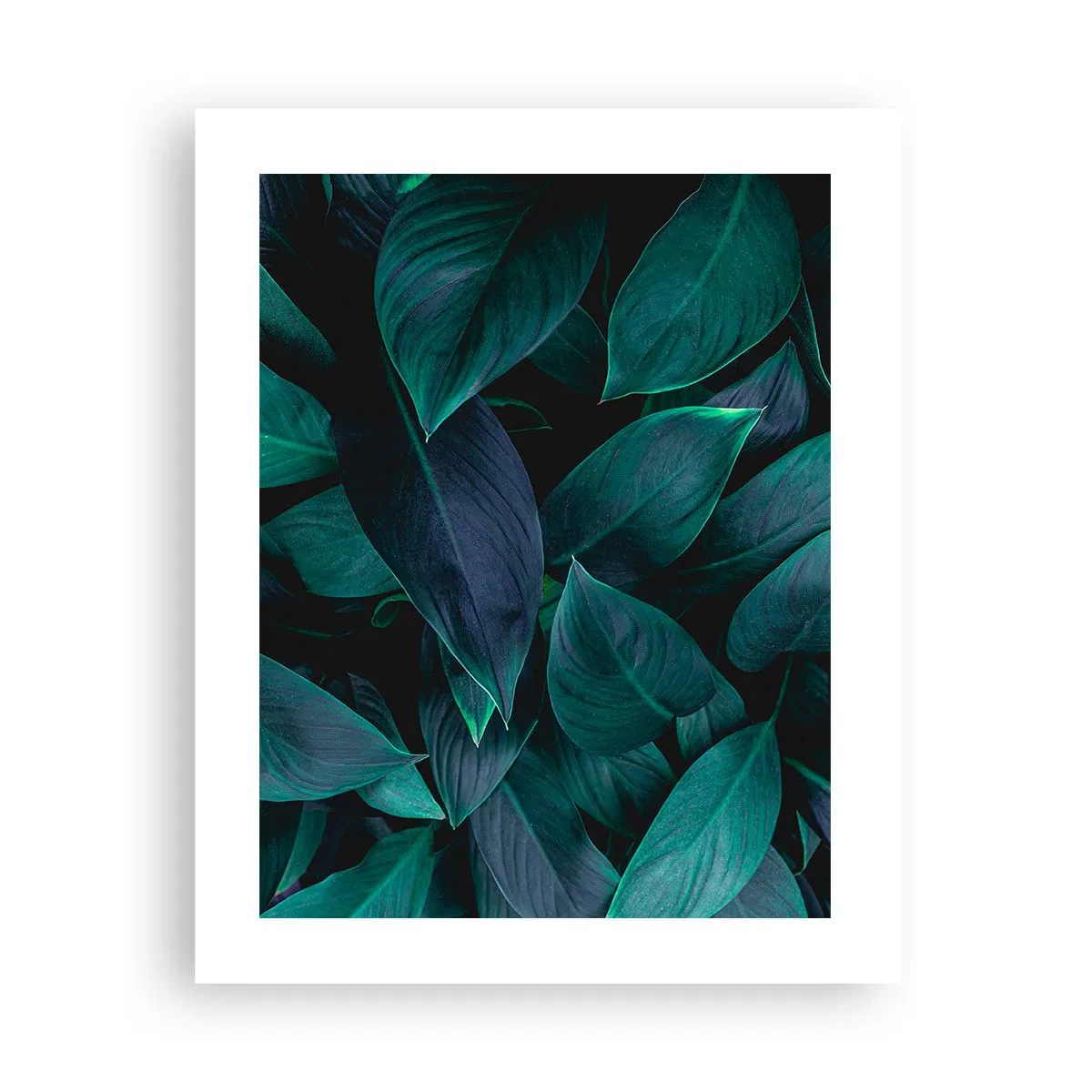 Affisch - Grönskan själv - 40x50 cm