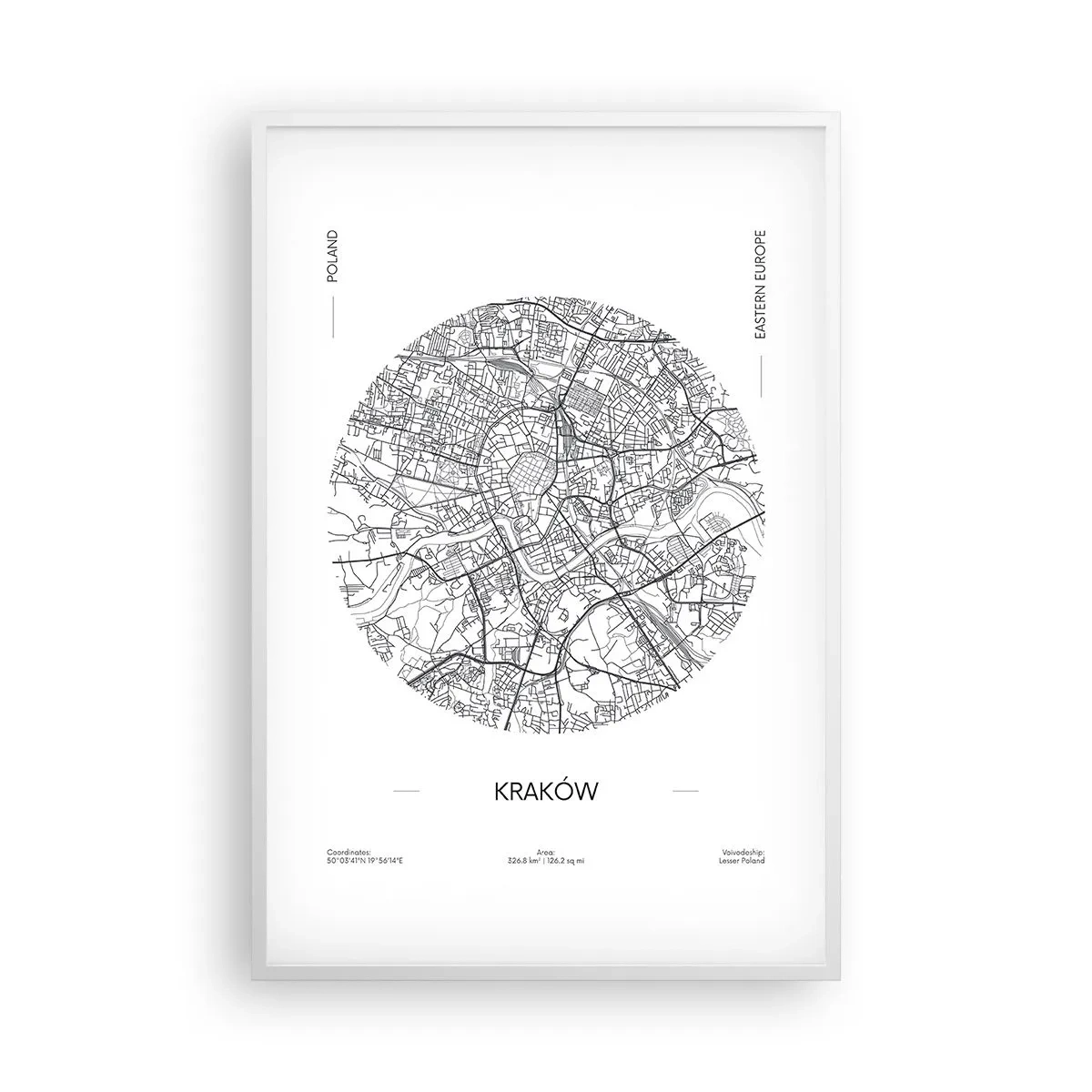 Affisch i vit ram - Krakóws anatomi - 61x91 cm