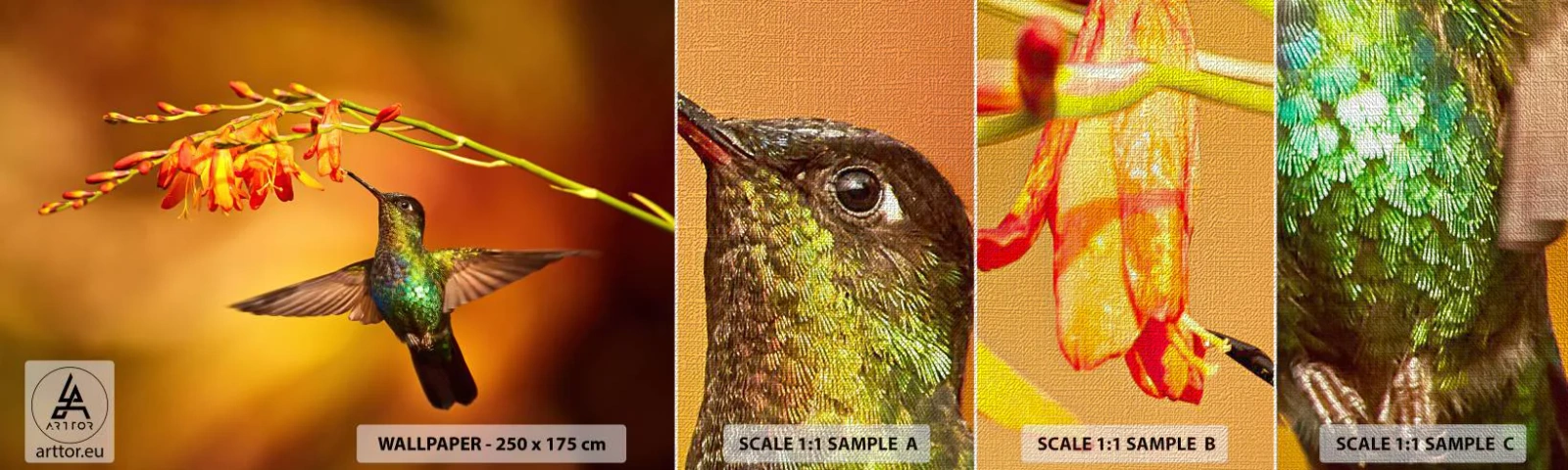 Provbit av fototapet Premium Canvas - Ljusbud enligt Mayafolket - Kolibri, Fågel, Natur - 100x30 cm