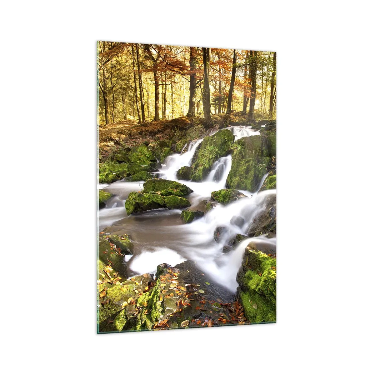 Glastavla - Bild på glas - Kvickt genom höstskogen - 70x100 cm