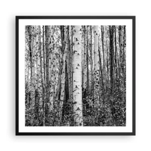 Affisch i svart ram - Björkpelargång - 60x60 cm