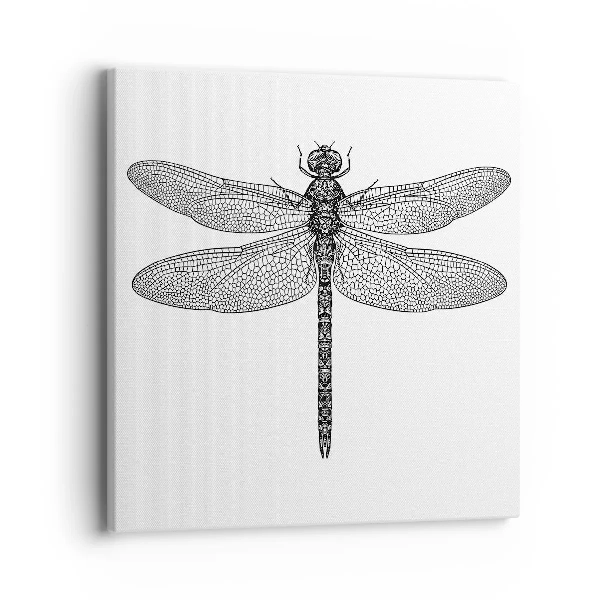 Canvastavla - Bild på duk - Precision i naturen - 40x40 cm