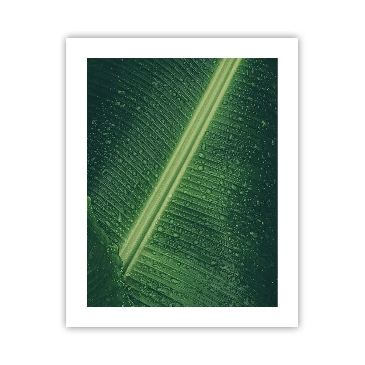 Affisch - Grönskans struktur - 40x50 cm