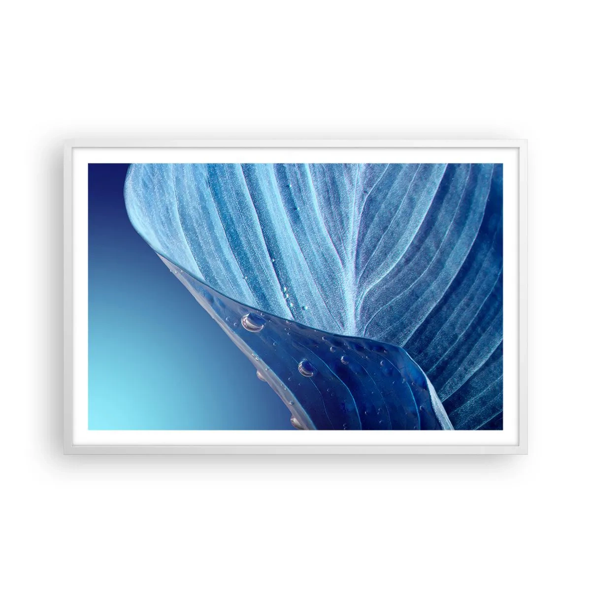 Affisch i vit ram - Dolda droppar av blått - 91x61 cm
