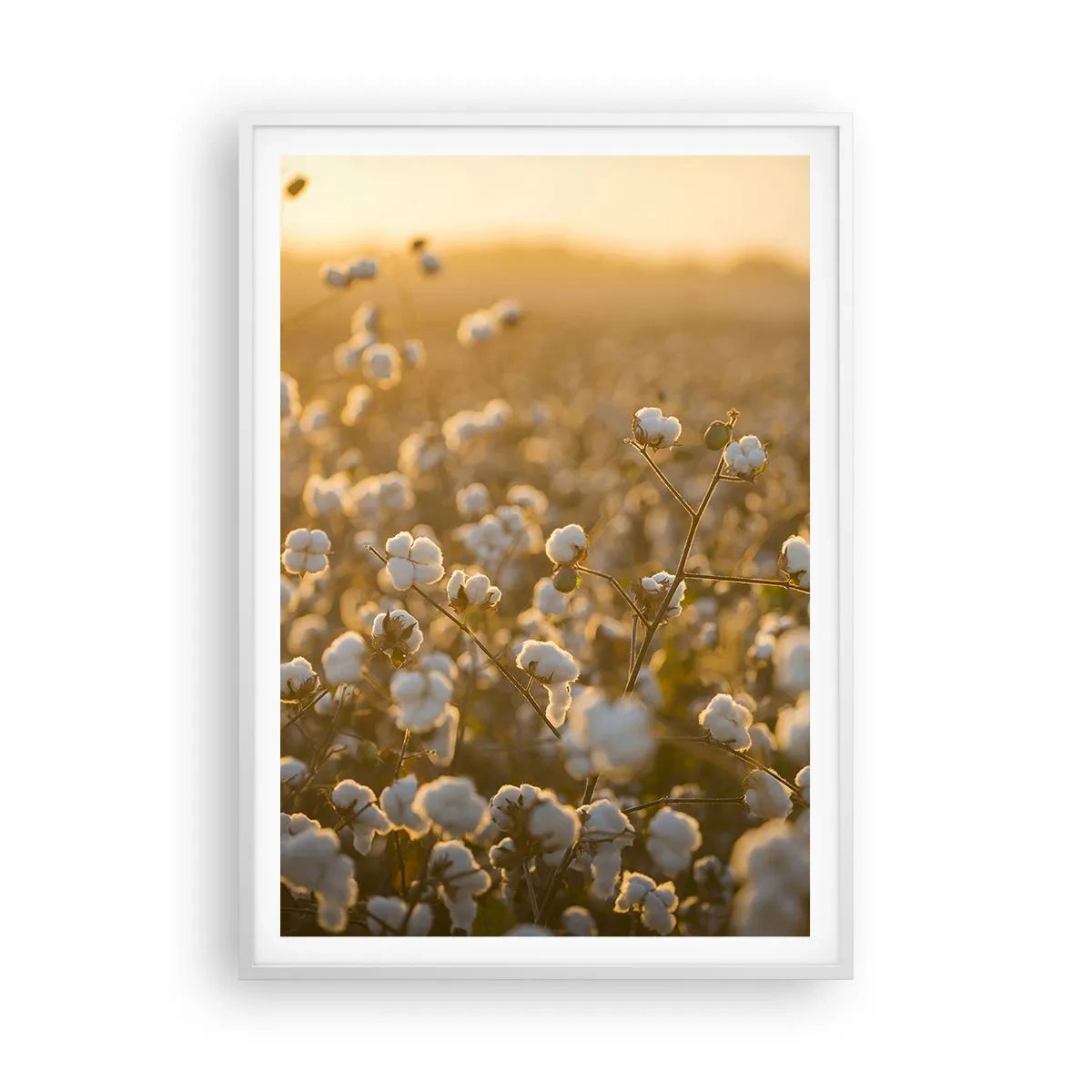 Affisch i vit ram - Fluffigt fält - 70x100 cm