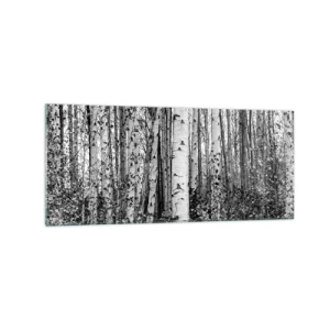 Glastavla - Bild på glas - Björkpelargång - 120x50 cm
