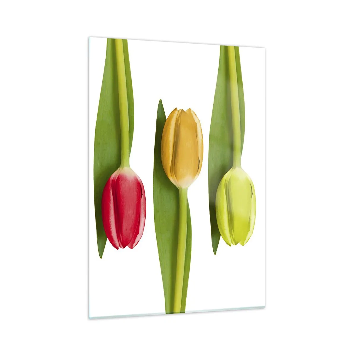 Glastavla - Bild på glas - Regnbågskomposition - 50x70 cm