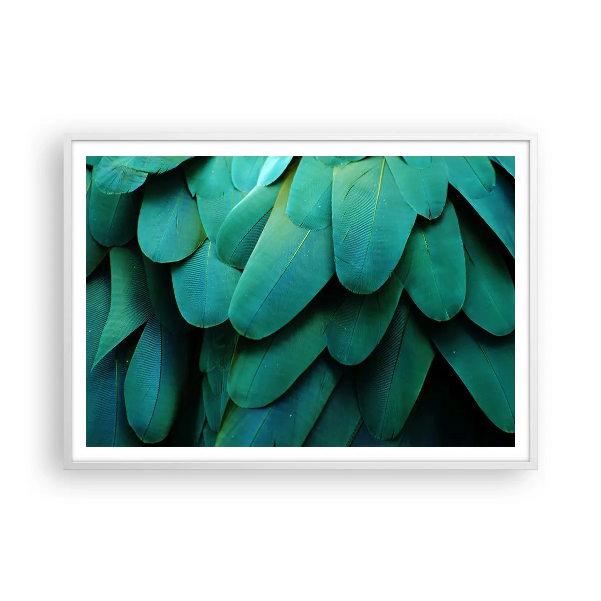 Affisch i vit ram - Precision av papegojans natur - 100x70 cm