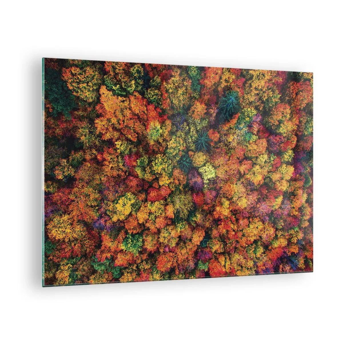 Glastavla - Bild på glas - En fågelperspektiv av en skog i full höst, full av färgglada träd - 70x50cm - Höstträdens bukett - Modern väggdekoration för vardagsrum och sovrum ARTTOR