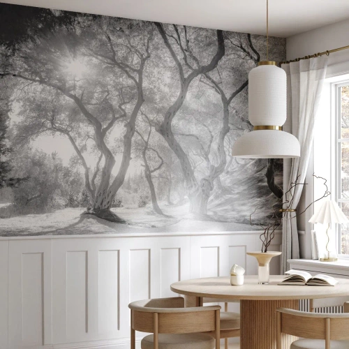 Fototapet Standard Eco - I en olivlund - Skog, Vinter, Träd - 500x350 cm
