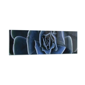 Glastavla - Bild på glas - Öknens blomma - 160x50 cm