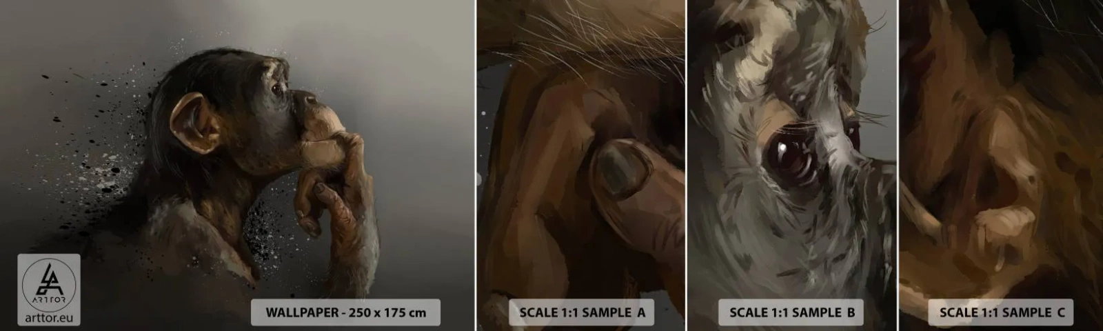 Provbit av självhäftande fototapet Deluxe Sticker - Säkert en tänkare - Djur, Apa, Bit - 100x30 cm