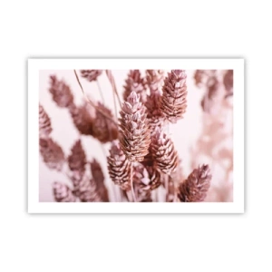 Affisch - Skenet bedrar - 70x50 cm