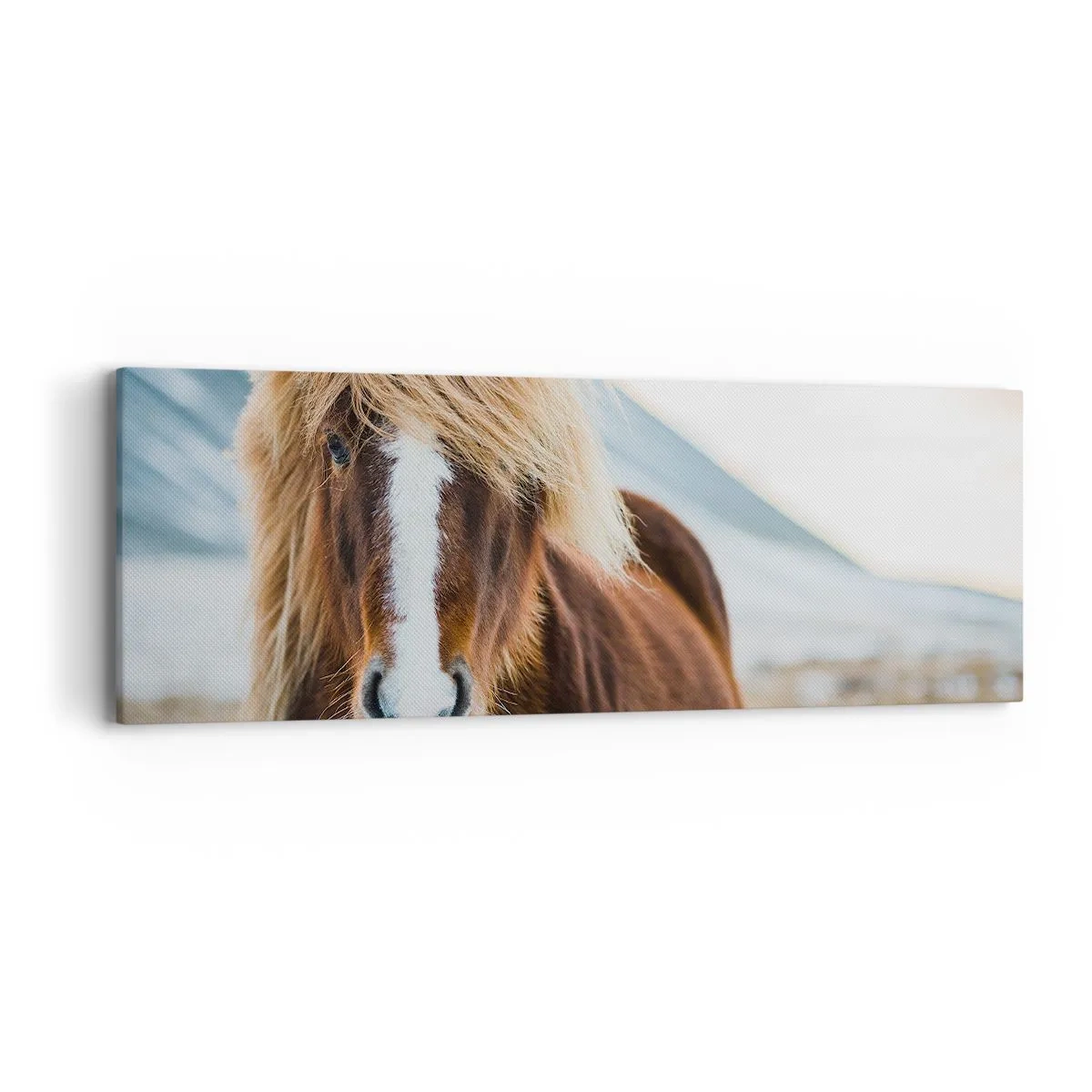 Canvastavla - Bild på duk - Känner du friheten? - 90x30 cm