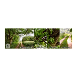 Fototapet Prov Standard Eco - Et in Arcadia ego - Landskap, Grusväg, Natur - 100x30 cm