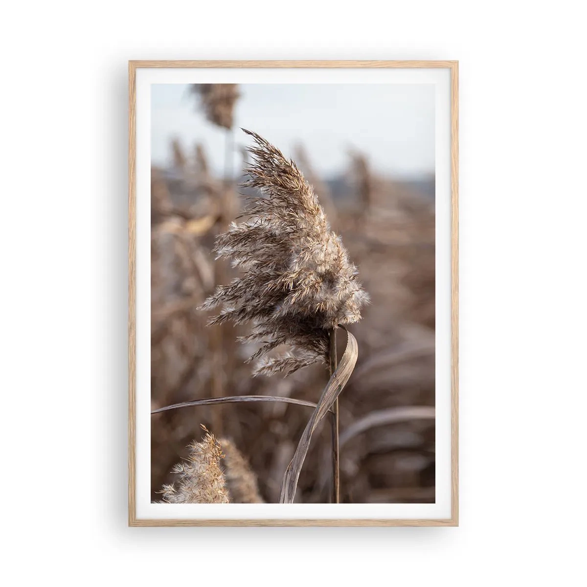 Affisch i ram av ljusek - Dags att flyga bort med vinden - 70x100 cm