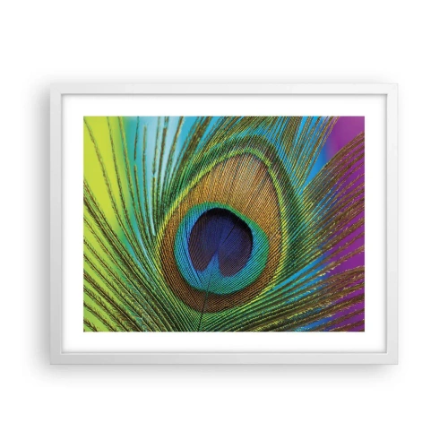 Affisch i vit ram - Öga mot öga - 50x40 cm