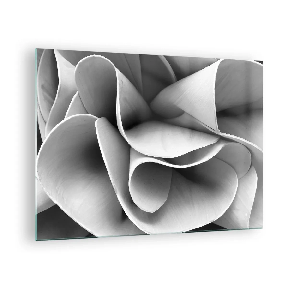 Glastavla - Bild på glas - Svartvit närbild av abstrakta spiralformer - 70x50cm - Det händer i rummet - Modern väggdekoration för vardagsrum och sovrum ARTTOR