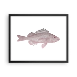 Affisch i svart ram - Storögd fisk - 50x40 cm